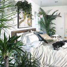 We did not find results for: Aesthetic Bedroom Ideas Plants Novocom Top