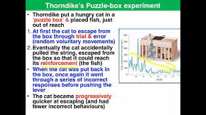Thorndike puzzle box experiment video. Trial And Error Learning Vce Psychology Youtube