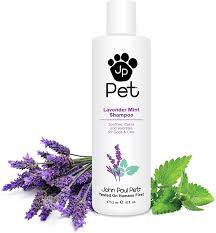 Why do people use lavender essential oil on cats? Amazon Com John Paul Pet Lavender Mint Shampoo For Dogs And Cats Soothes Calms And Hydrates 16 Ounce