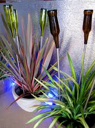 Indoor Bottle Trees At Ransom S Garden Centre Jardineria