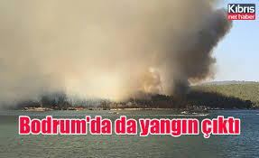Muğla'nın bodrum ilçesinde öğlen saatlerinde çıkan yangın 8 saatin sonunda kontrol altına alındı. I5esh3zbetechm