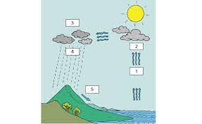 Berikut ini penjelasan lengkap mengenai proses hujan dan . Proses Terjadinya Hujan Belajar Kurikulum 2013