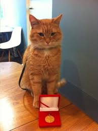 James Bowen Street Cat Bob Sevimli Kediler Kedi Hayvanlar