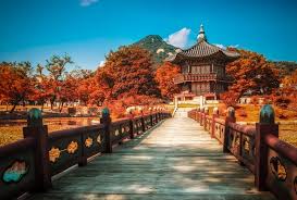 Ini memiliki banyak jalan setapak alam, dan juga memiliki kebun binatang untuk. 50 Tempat Wisata Korea Yang Paling Unik Menarik Wisatalova
