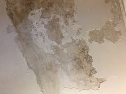 Click to see full answer. Calcimine Efflorescence Plaster Ceiling Diy Home Improvement Forum