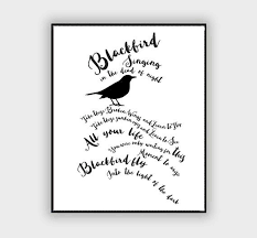Black Bird In The Dead Of Night Lyrics The Beatles Quot Blackbird Quot Song Lyric Typography Quote Home And Office Decoration Motivational Poster Des Music Lyrics Art Lyric Poster Song Lyrics Art