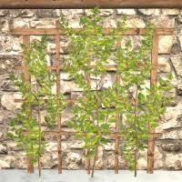 Exclusive products · exclusive items · planters of all sizes Hops Trellis Wurmpedia
