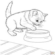 Since i've been a little behind lately, i'm going to post a couple new coloring pages this week. Kitten Coloring Pages Picture Whitesbelfast