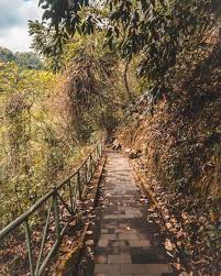 Maybe you would like to learn more about one of these? Tiu Kelep Waterfall Sendang Gile Waterfall Lombok
