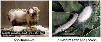 Silk is strong and can last a long time if not exposed to sunlight, as long as not mildewing easily. Differences Between Natural And Synthetic Fibres Classhall Com