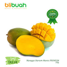 Bisnis pertanian buah mangga memang menjadi salah satu bisnis yang tidak pernah mati. Mangga Harum Manis Premium 1kg Buah Mangga Mangga Arum Manis Mango Shopee Indonesia