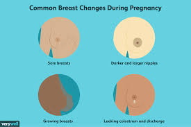 But not all breast pain is created equal! Breast Changes During Pregnancy