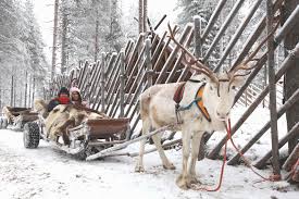 Santa claus riding sleigh template illustration. Santa Claus Village Reindeer Sleigh Ride Pipi Travels
