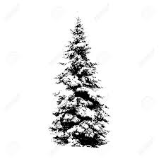 5 out of 5 stars. Pine Tree Vector Illustration For Your Design Royalty Free Cliparts Vectors And Stock Illustration Image 4230909