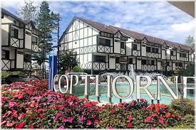 Raju hill strawberry farm and kea farm are worth checking out if shopping is on the agenda, while those wishing to experience the area's popular attractions can visit cameron highland butterfly farm and ee feng. Supermeng Malaya Ch2019 03 Copthorne Hotel Facilities