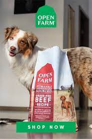 My Favorite Kibble In 2021 Food Animals Dog Food Delivery Dog Food Advisor