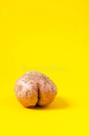 Download potato images and photos. 2 289 Funny Potato Photos Free Royalty Free Stock Photos From Dreamstime