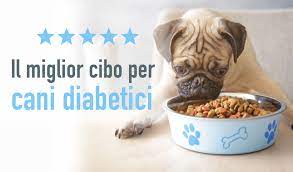 Concept for life veterinary diet. Il Miglior Cibo Per Cani Diabetici Classifica E Recensioni