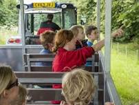 Tractor and Trailer rides at Kingston Lacy
