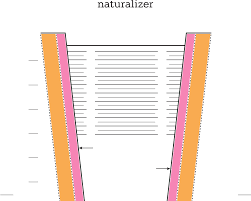 preview printable women shoe size chart