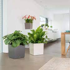 Per l'appartamento, i vasi da interno in ceramica (smaltata lucida o opaca) e in vetro sono molto apprezzati per il loro pregio decorativo. Vasi E Contenitori Per Piante Da Interno Ed Esterno Vasi Design Officina Verde Design