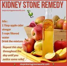 Natural Kidney Stone Remedy Kidney Stones Remedy Kidney Detox Cleanse Remedies