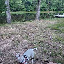 Washington dc to fredericksburg va. Photos At Fredericksburg Va Washington Dc S Koa Campground