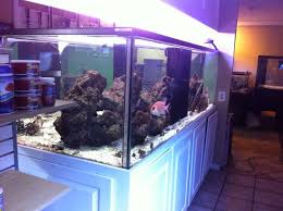 2 gallon aquarium kit with 7 different led lighting combination & power filter. 500 Gallon Aquarium For Sale 2000 Pensacola Fl Giant Aquariums