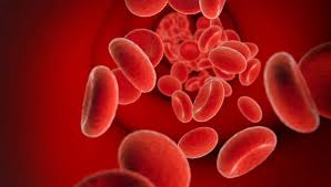 Sepsis may progress to septic shock. Studie Sepsis Bei Kindern Auch In Deutschland Haufig Sepsis Stiftung Gibt Eltern Tipps Homburg1
