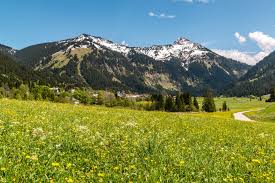 In der folgenden nacht brennen die feuer in den bergen um jungholz, schattwald, zöblen, tannheim und. Funf Grunde Fur Einen Sommerurlaub Im Tannheimer Tal Reise Stories