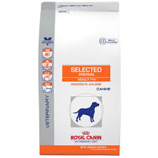 Pin On Dog Food Types