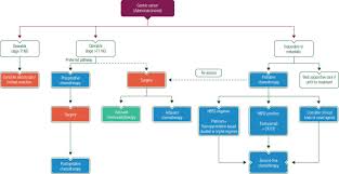 Overall survival was the main outcome variable. Gastric Cancer Esmo Clinical Practice Guidelines For Diagnosis Treatment And Follow Up Annals Of Oncology