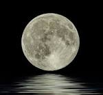 Luna piena
