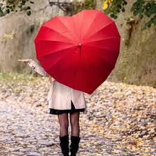 Herz Regenschirm Regenschirm Roter Regenschirm Freund Fotos