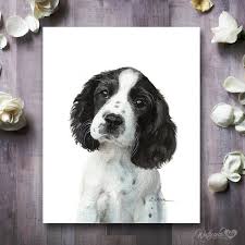Black And White Springer Spaniel Cartoon English Springer Spaniel Puppy Prints Black White Springer Etsy Spaniel Art Print Spaniel Art Puppy Prints