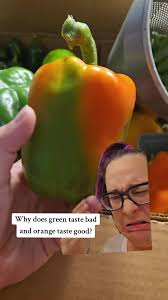 like if green peppers are unripe then leave them be I don't get it #pepper  #bellpepper #greenpepper #orangepepper #farmstand