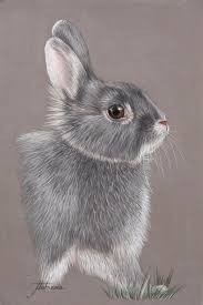 Animal Pastels Pastels Animaliers Et Equins Photographies Peintures Portrait Au Crayon Peinture Crayon A Dessiner