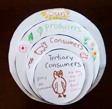 Food Chains Chart In Our Earth Project Jugaad