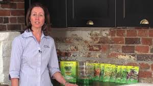 kitchen seed sprouter grow your own