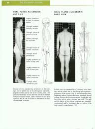 Posture The Standard Posture Ideal Plumb Alignment Side Medical Device Postures Forward Head Posture Posture Correction