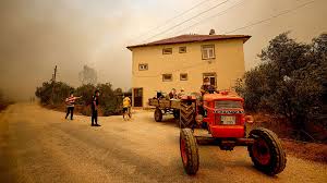 Мне показалось, что наш сын затемпературил, и днем мы поехали с супругом в торговый центр. 0jwbudjwgop4cm