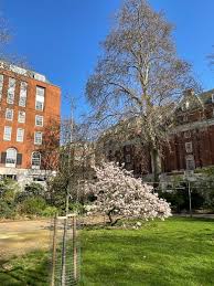 Alastair campbell finally meets his match as he is roundly booed by top gear audience. Alastair Campbell On Twitter Tree Of The Day The Magnolia Where We Did Our Post Civil Partnership Ceremony Photos This Pic Showing It Between One Small Tree And One Giant In Tavistock