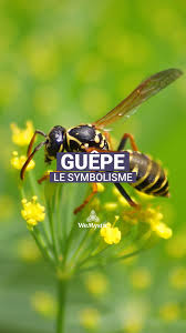 Le Symbolisme De La Guepe Entre Prejuge Et Verite Wemystic France Video Video En 2020 Animaux Nature Animaux Sacres Guepe