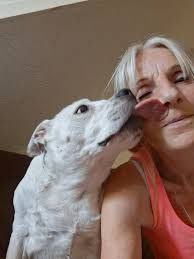 Grief and support for loss of a beloved pet