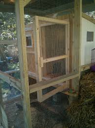 Backyard chicken coops chicken coop plans backyard farming chickens backyard chicken coup backyard coop chicken tractors. Quail Coop Inside The Screen House Backyard Chickens Learn How To Raise Chickens