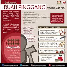 Salad mengkudu adalah resep selanjutnya dalam cara mengolah buah mengkudu. Rahsia Bio Lingzhi Raja Herba Kesihatan Diiktiraf Kkm