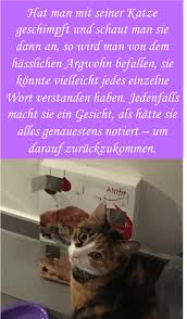 Maybe you would like to learn more about one of these? Katzenspruche