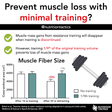 Prevent Muscle Loss With Minimal Training?