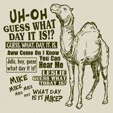 Find and save camel guess what day it is memes | from instagram, facebook, tumblr, twitter & more. Great Selection Of Funny T Shirts Cool T Shirts Funny Quotes I Love To Laugh Make Me Laugh
