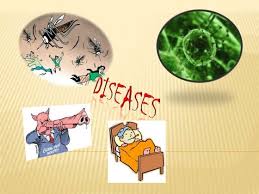 ANTHONY KEEL RESEARCH PROPOSAL 17 MAY 2013